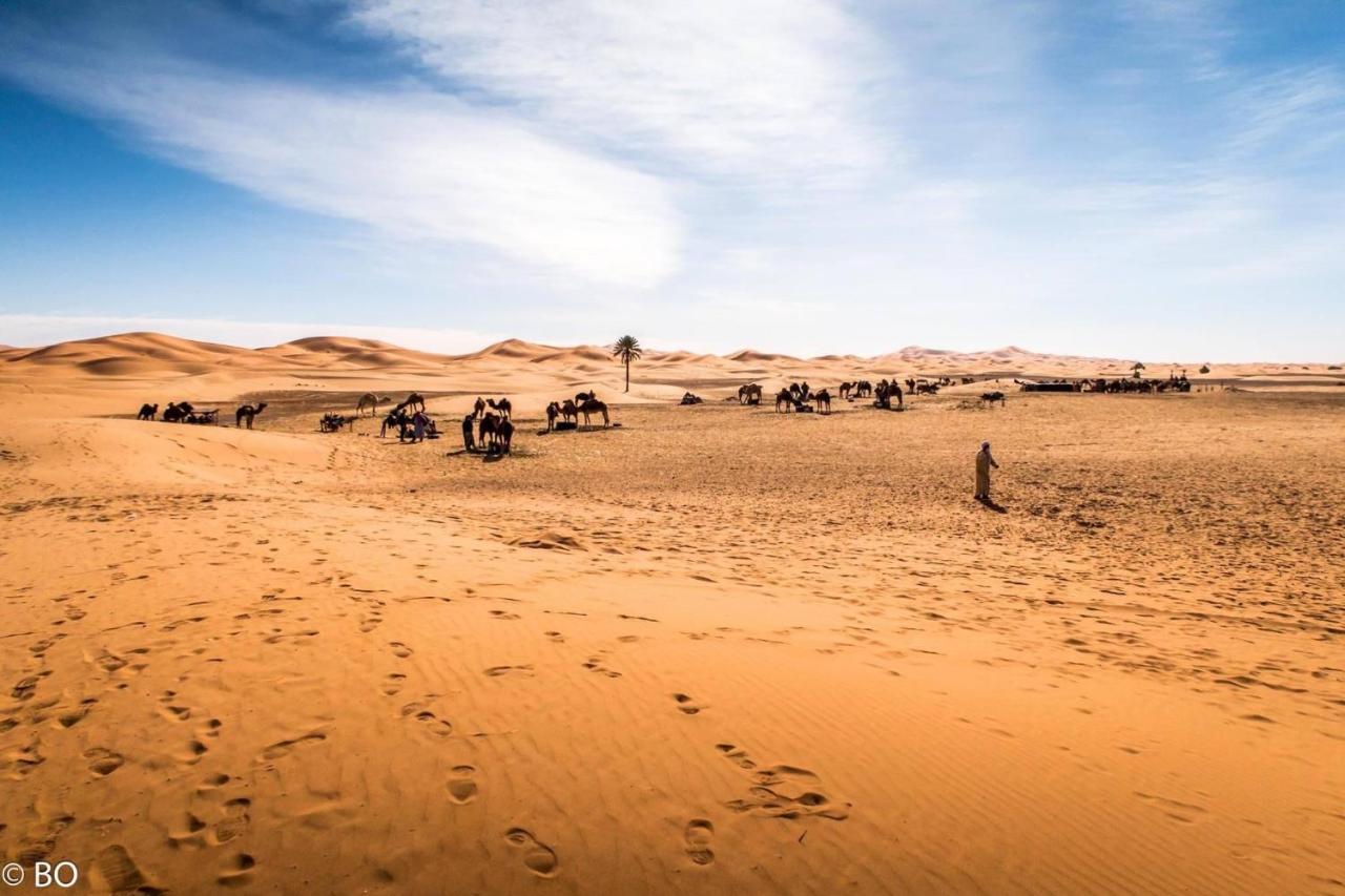Sahara Wellness Camp Bed and Breakfast Merzouga Eksteriør billede